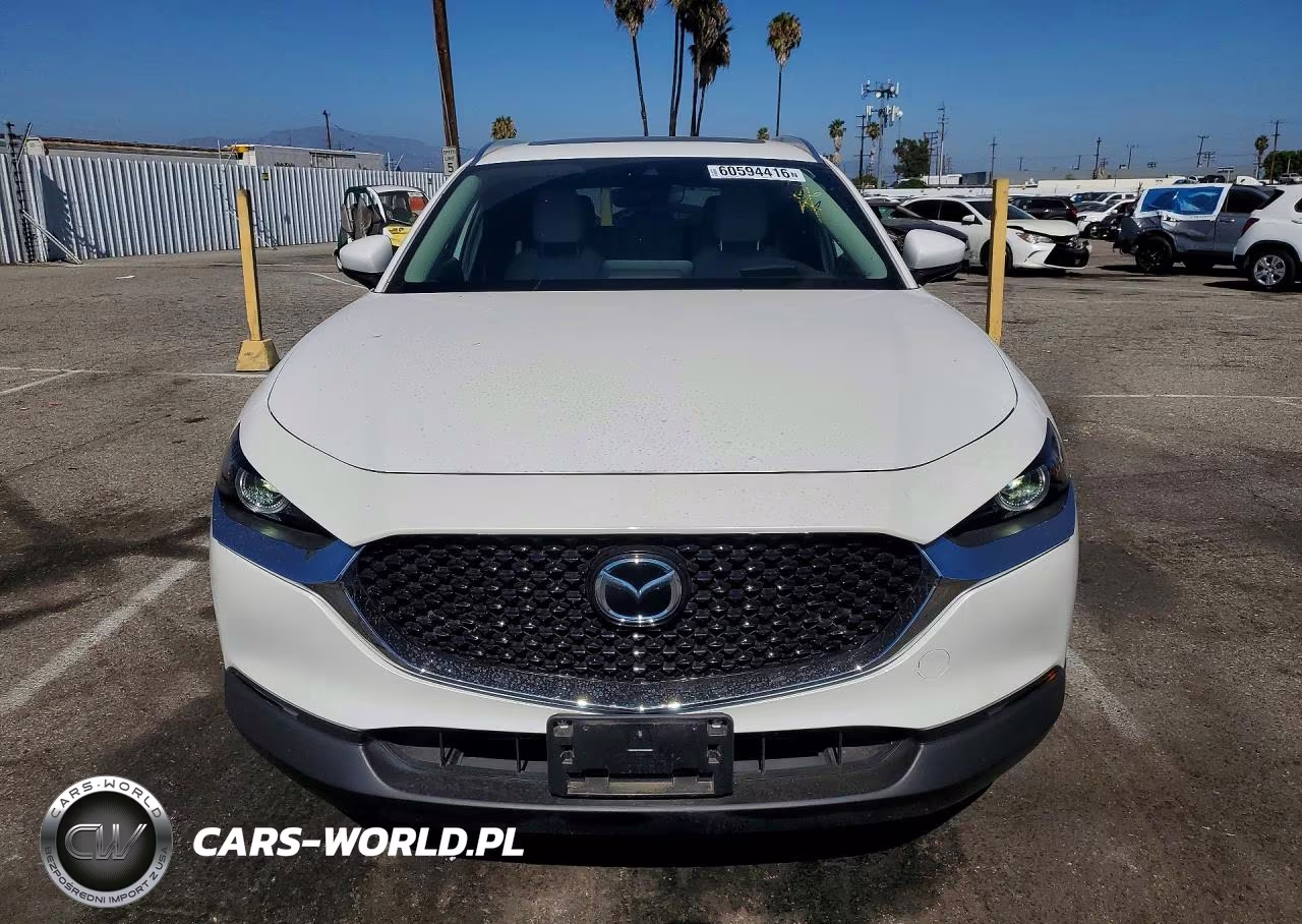 2023 Mazda Cx-30 Premium VIN:3MVDMBDM0PM556863 - 5