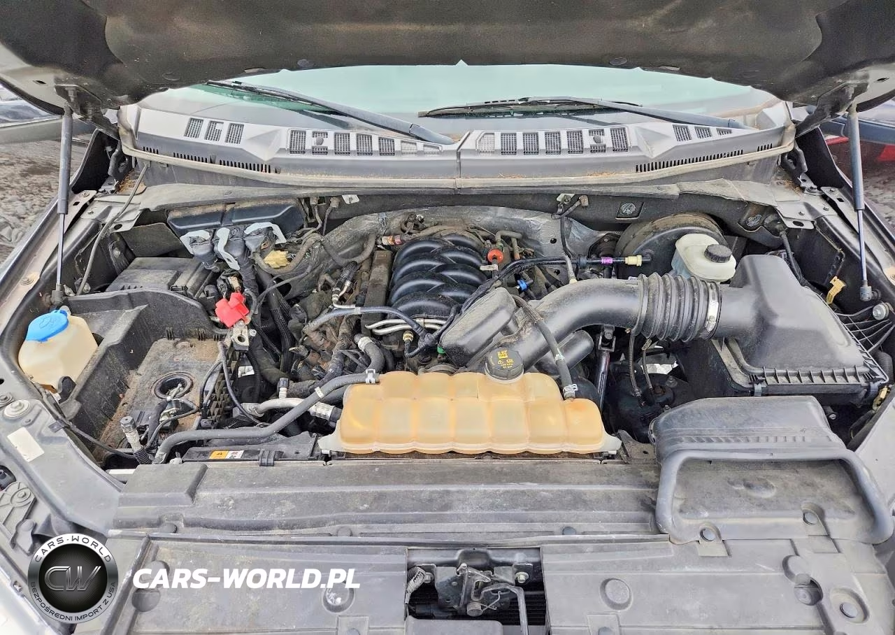 2019 Ford F150 Supercrew VIN:1FTEW1C51KFA64775 - 11