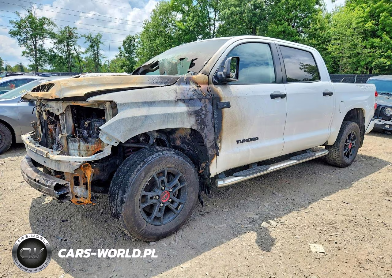 2019 Toyota Tundra Trd Pro