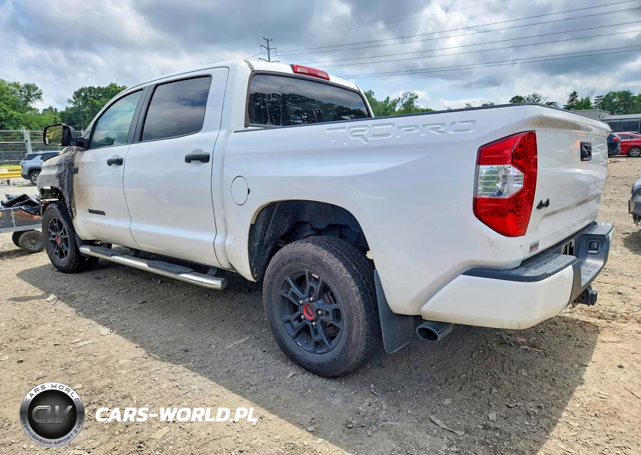 2019 Toyota Tundra Trd Pro VIN:5TFDY5F12KX818461 - 2