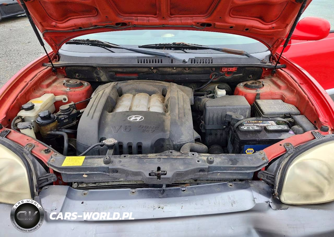 2003 Hyundai Santa Fe Gls VIN:KM8SC13D03U549372 - 12