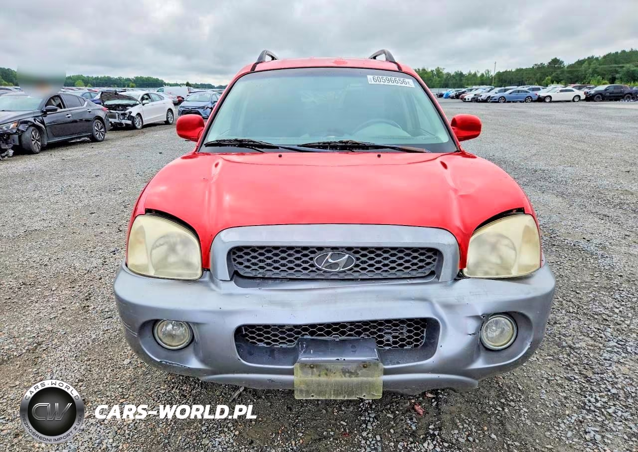 2003 Hyundai Santa Fe Gls VIN:KM8SC13D03U549372 - 5
