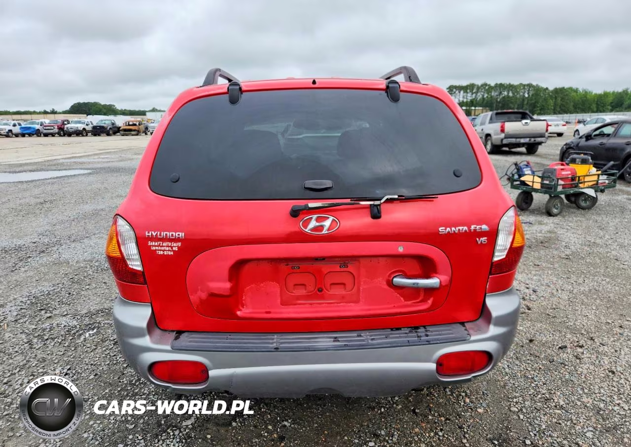 2003 Hyundai Santa Fe Gls VIN:KM8SC13D03U549372 - 6
