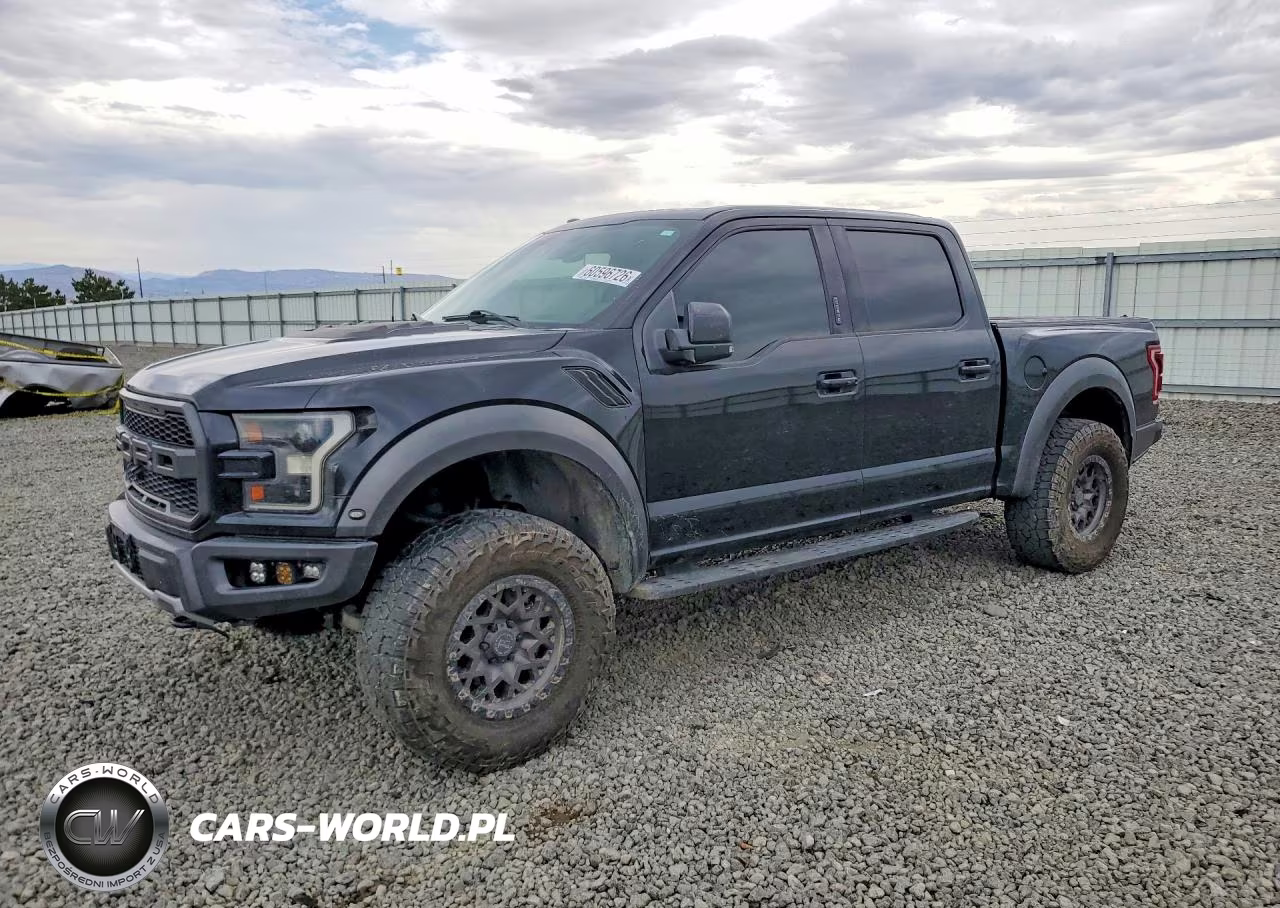 2018 Ford F150 Raptor