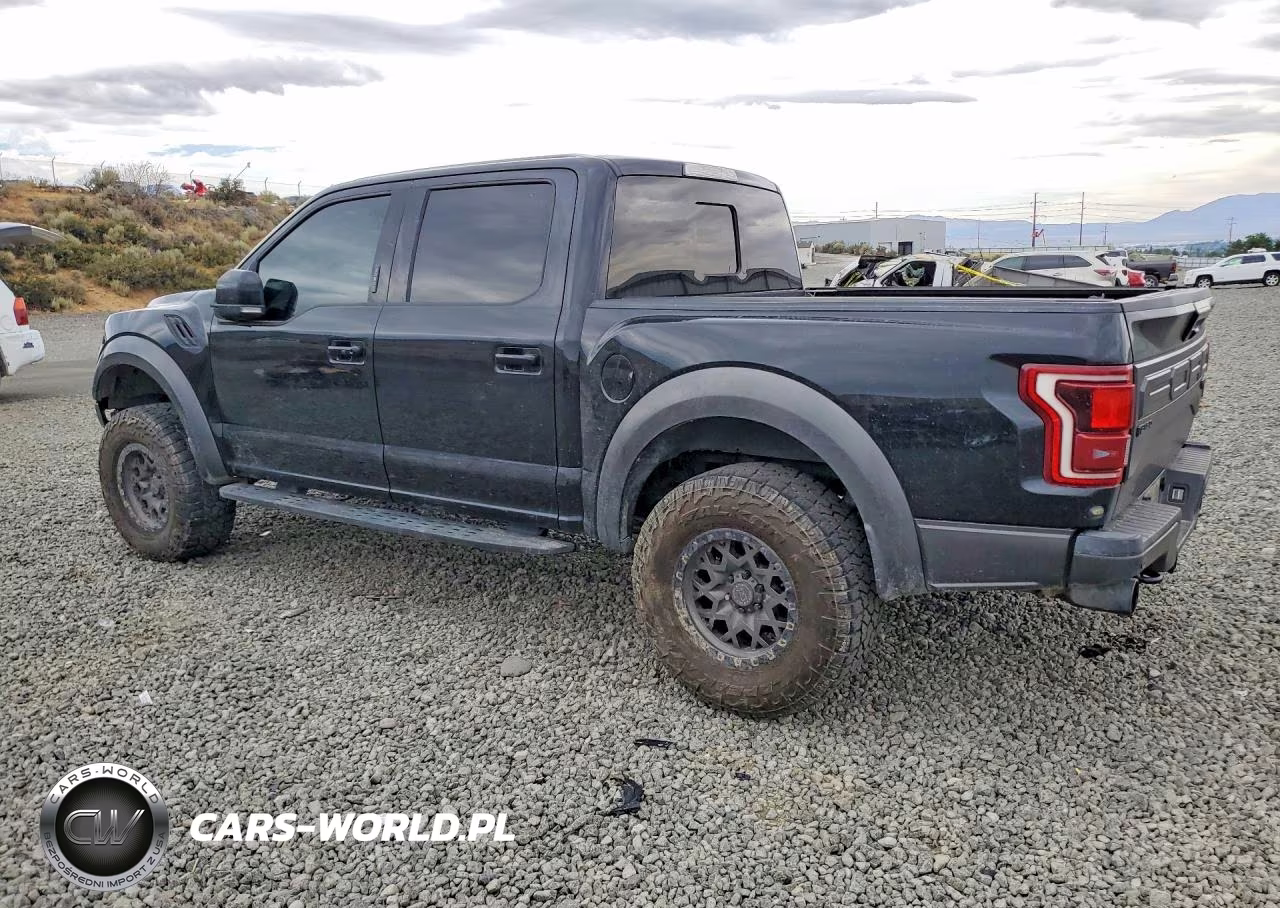 2018 Ford F150 Raptor VIN:1FTFW1RG8JFB45249 - 2