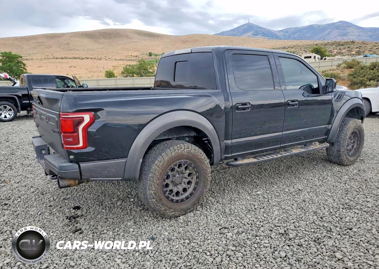 2018 Ford F150 Raptor VIN:1FTFW1RG8JFB45249 - 3