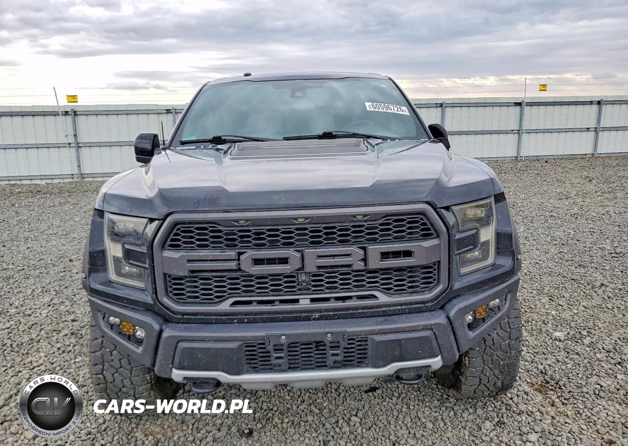 2018 Ford F150 Raptor VIN:1FTFW1RG8JFB45249 - 5