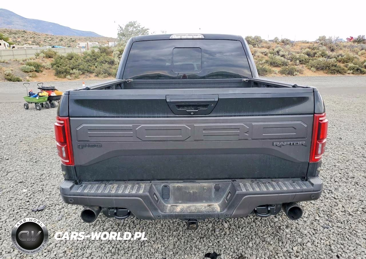 2018 Ford F150 Raptor VIN:1FTFW1RG8JFB45249 - 6