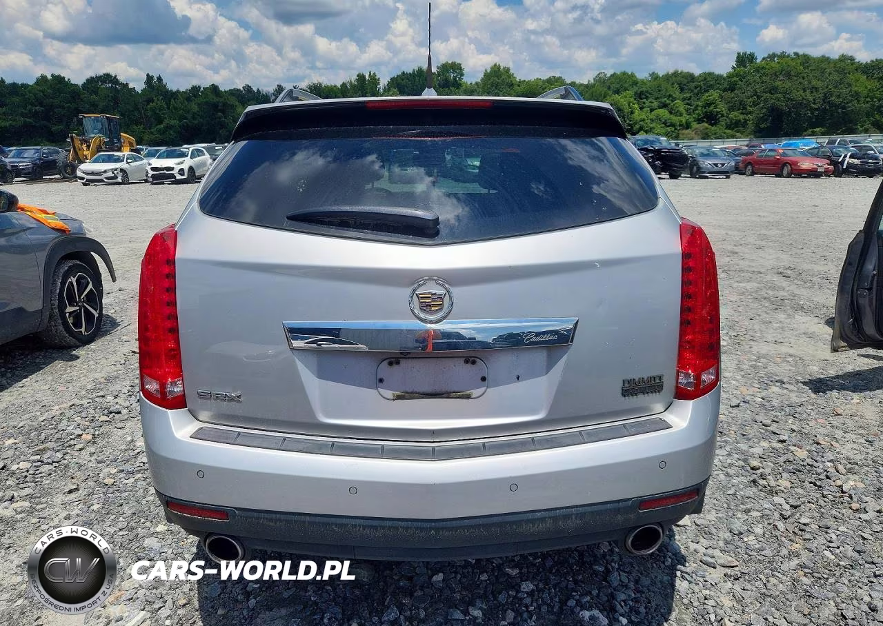 2010 Cadillac Srx Luxury Collection VIN:3GYFNAEY6AS568399 - 6