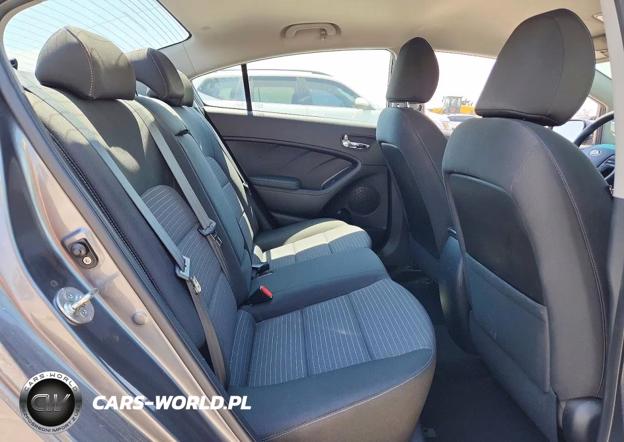 2016 Kia Forte Lx VIN:KNAFX4A6XG5443217 - 10