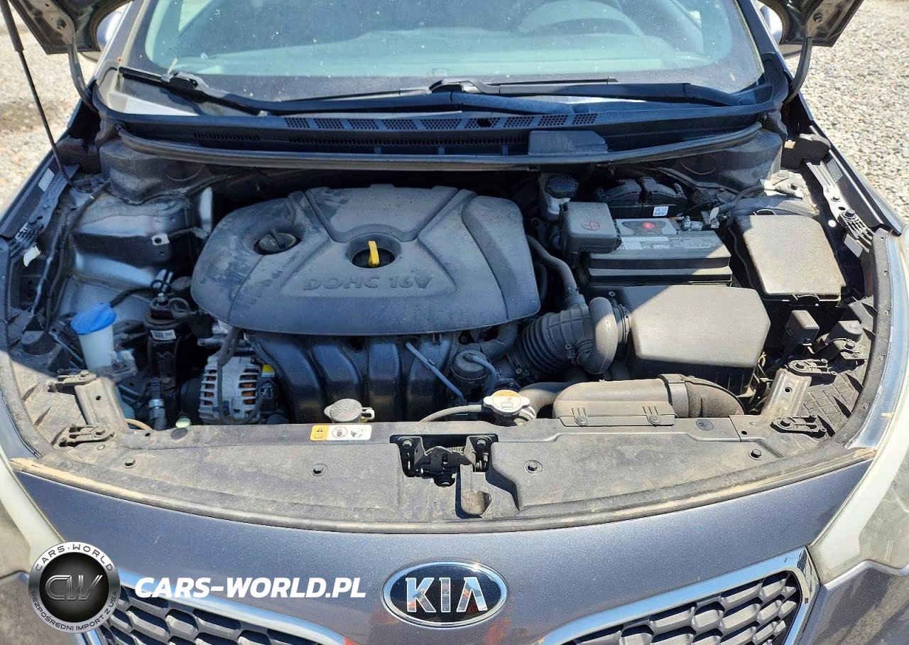 2016 Kia Forte Lx VIN:KNAFX4A6XG5443217 - 11