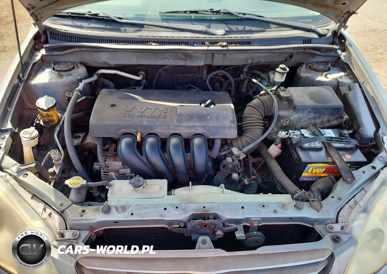 2004 Toyota Corolla Ce VIN:1NXBR32EX4Z256360 - 11