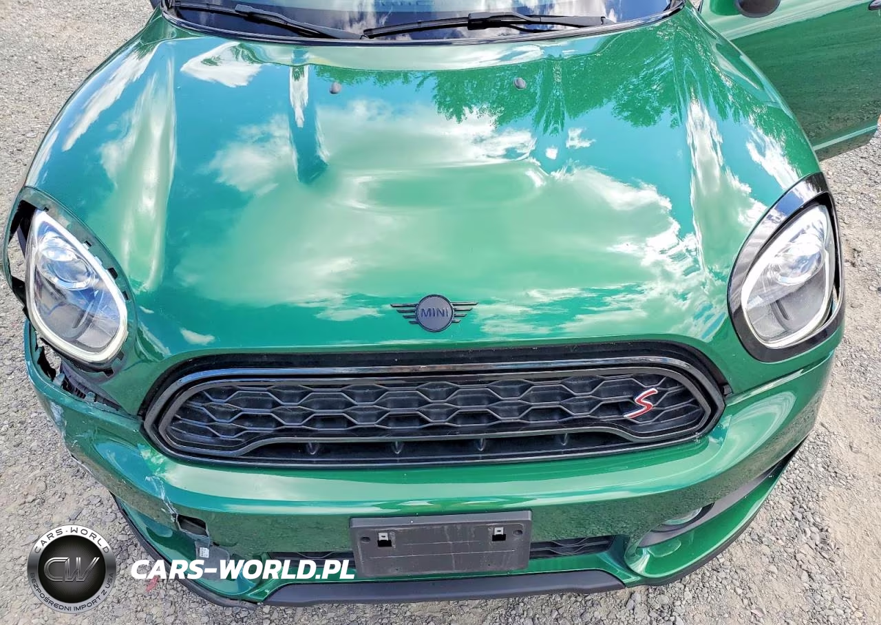 2020 Mini Cooper S Countryman All4 VIN:WMZYX1C00L3L01015 - 12