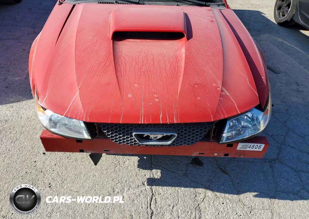 2004 Ford Mustang VIN:1FAFP44654F138573 - 11