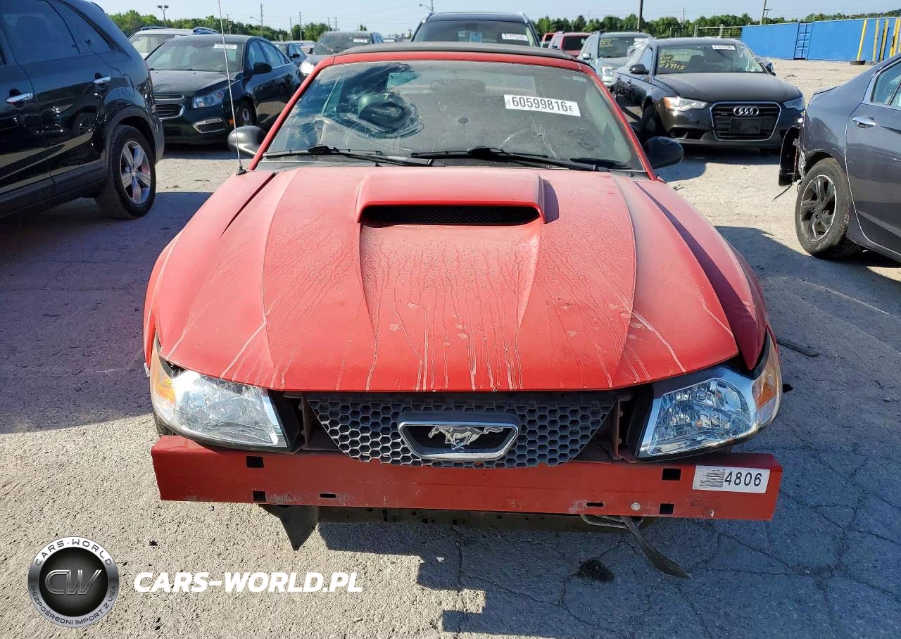 2004 Ford Mustang VIN:1FAFP44654F138573 - 5