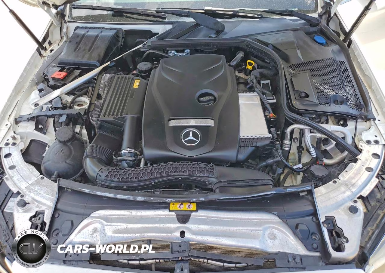 2016 Mercedes-Benz C 300 VIN:55SWF4JB4GU142720 - 11