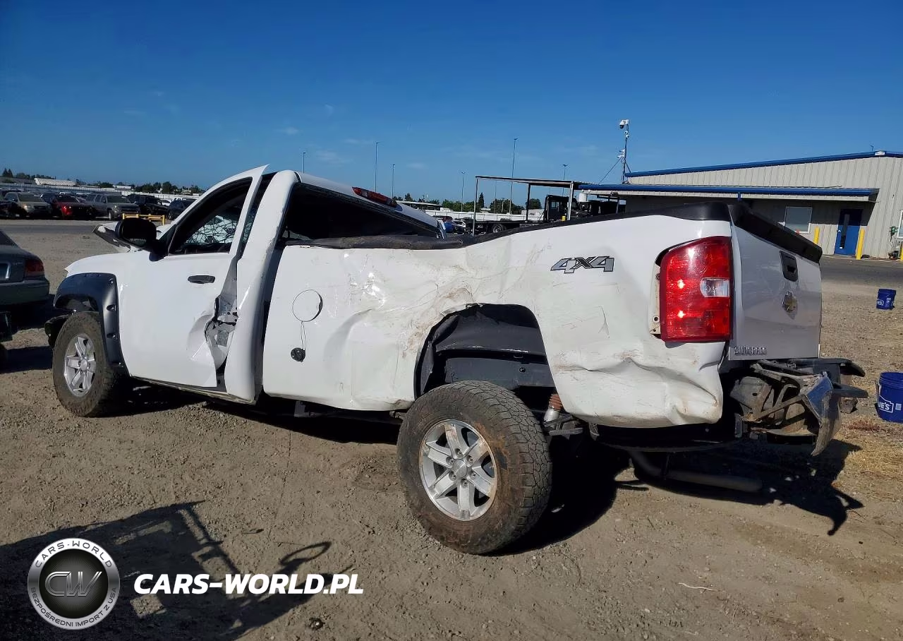2009 Chevrolet Silverado K1500 VIN:1GCEK14X49Z259399 - 2
