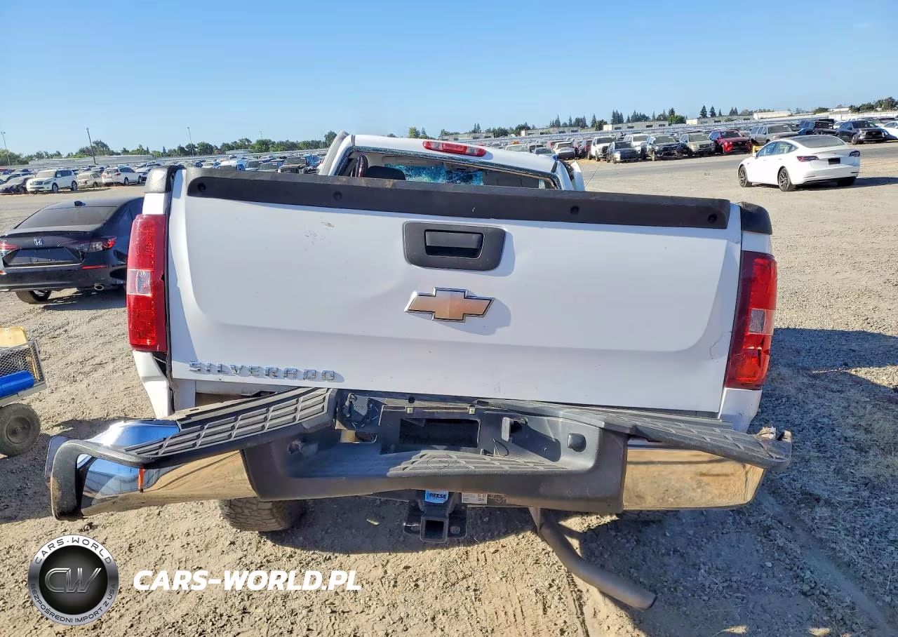 2009 Chevrolet Silverado K1500 VIN:1GCEK14X49Z259399 - 6