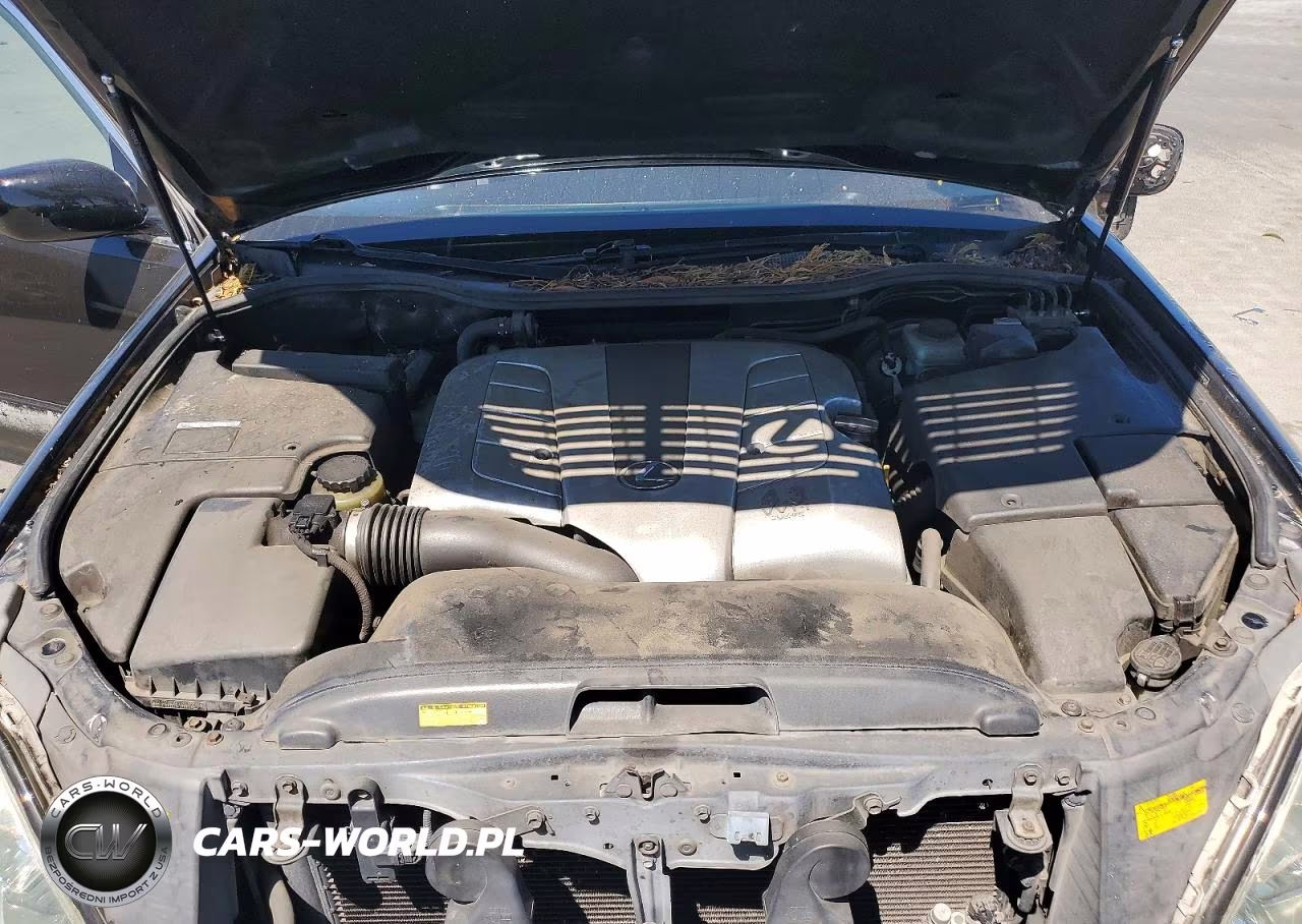2004 Lexus Ls 430 VIN:JTHBN36F440146106 - 11