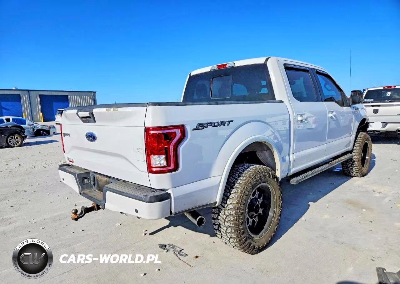 2017 Ford F-150 Supercrew VIN:1FTEW1CP3HKD31125 - 3