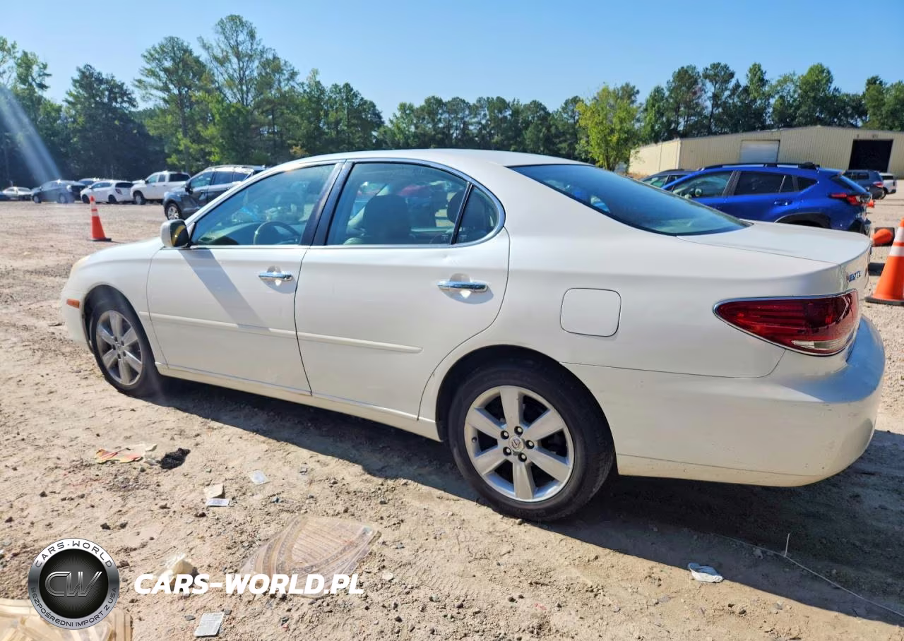 2005 Lexus Es 330 VIN:JTHBA30G155065632 - 2