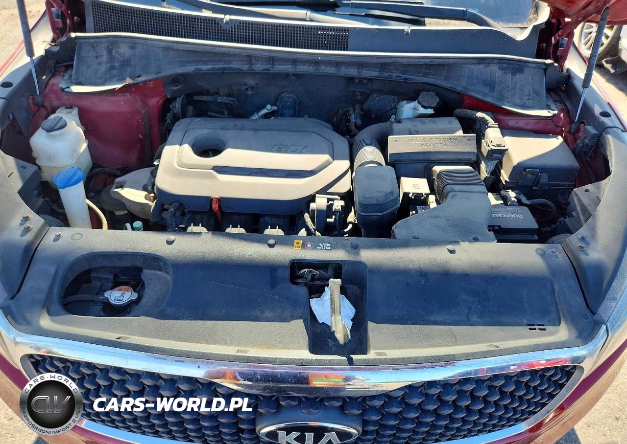 2017 Kia Sorento Lx VIN:5XYPGDA38HG209907 - 12