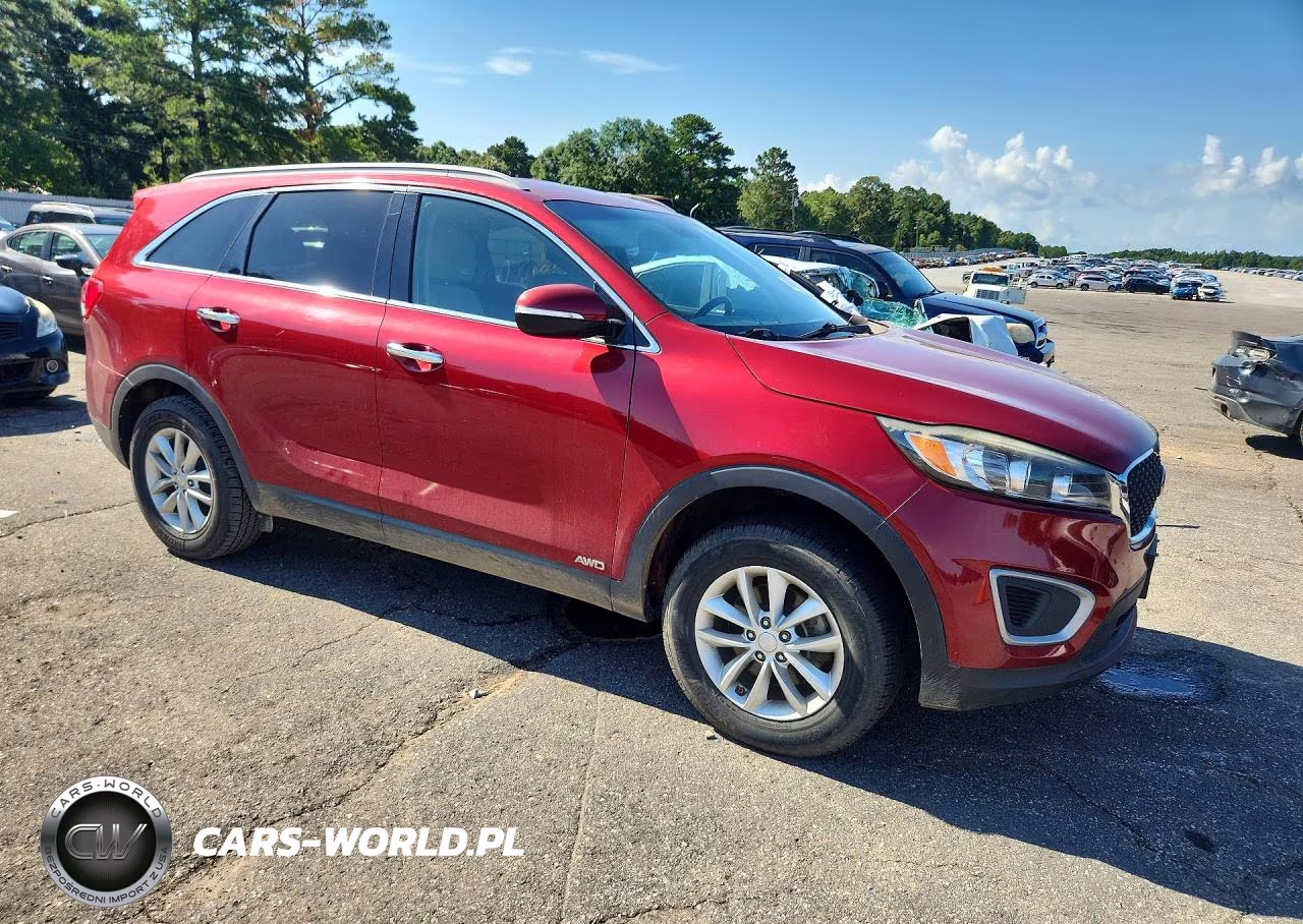 2017 Kia Sorento Lx VIN:5XYPGDA38HG209907 - 4