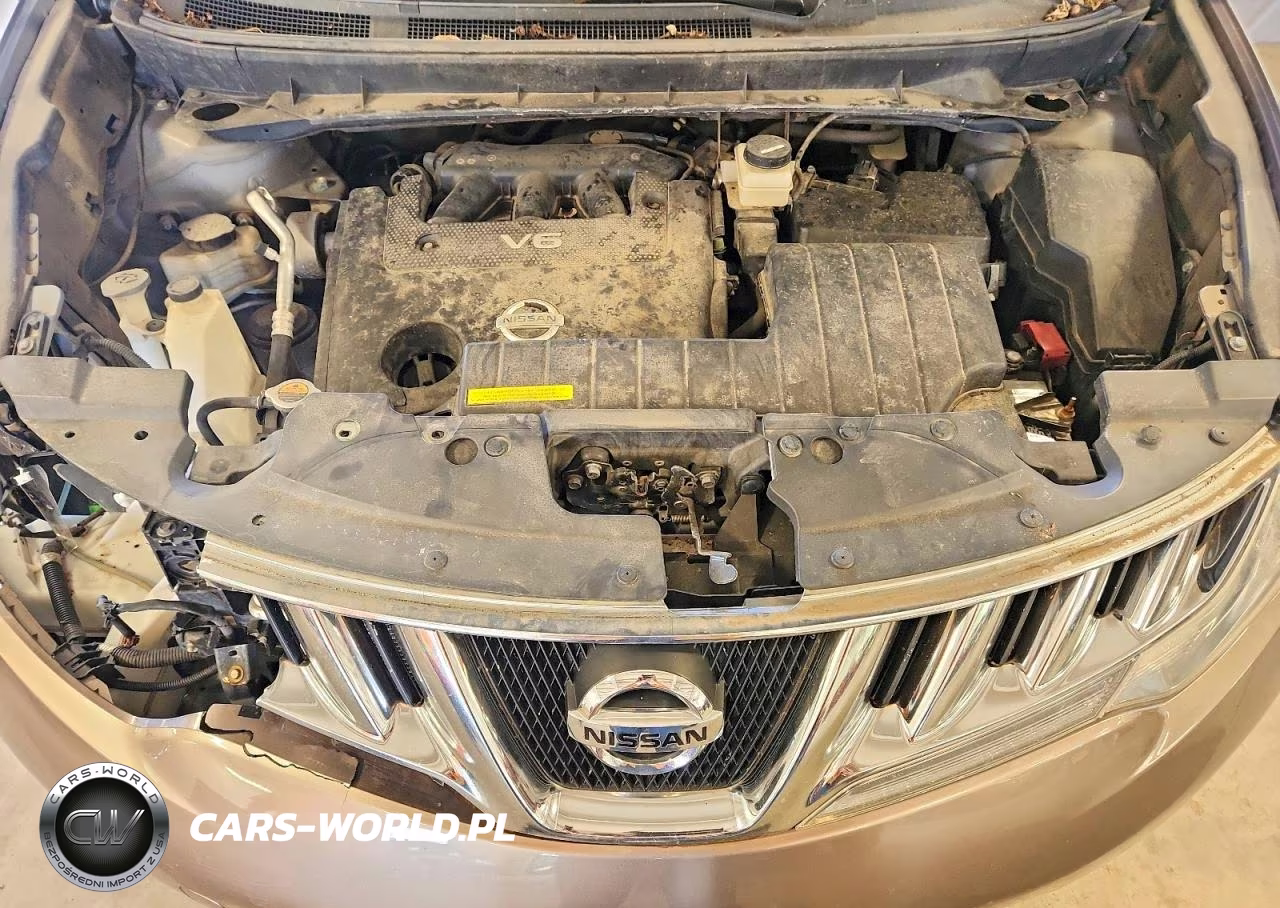 2010 Nissan Murano S VIN:JN8AZ1MW0AW122472 - 12