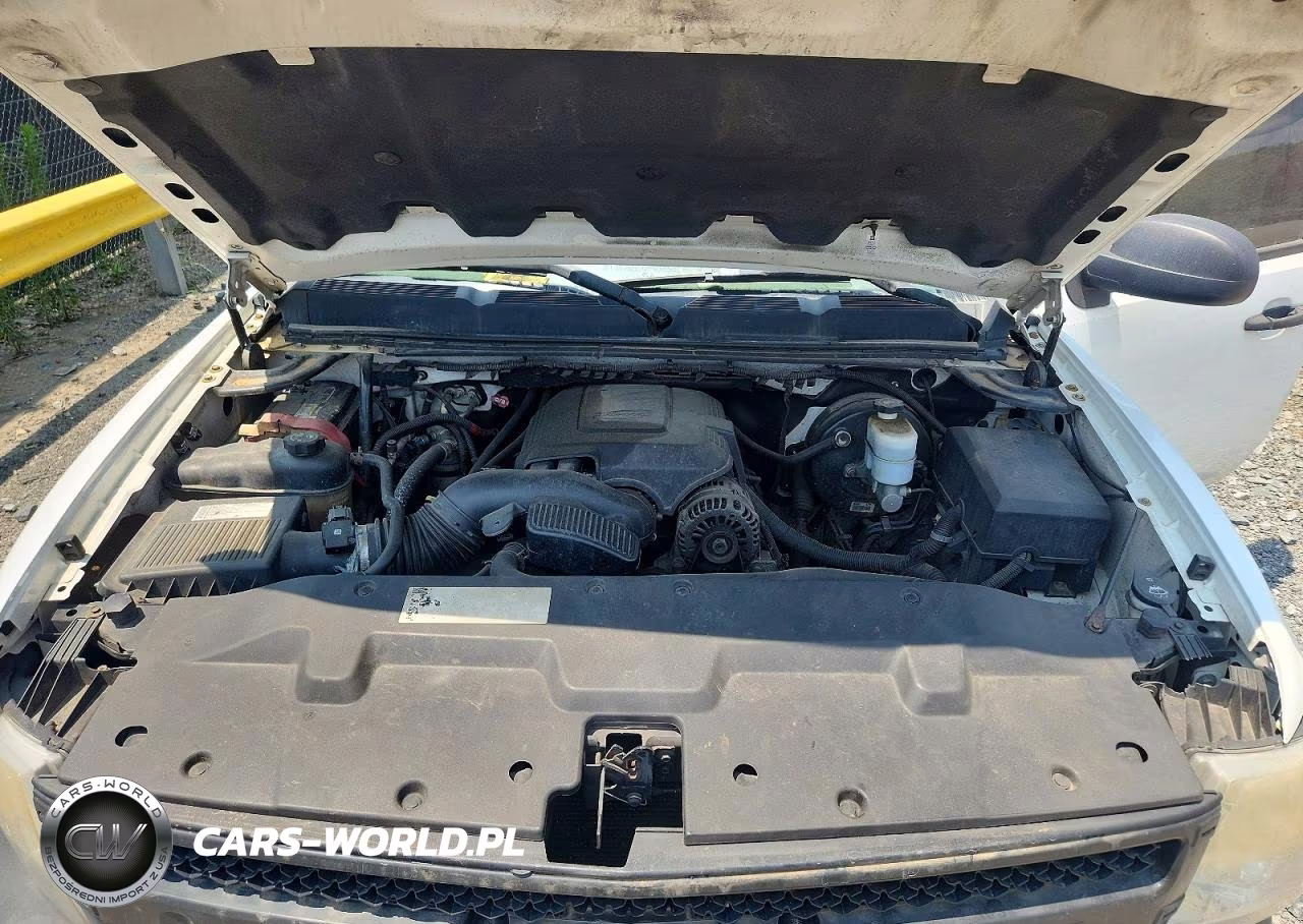 2009 Chevrolet Silverado K1500 VIN:1GCEK19C99Z160230 - 11