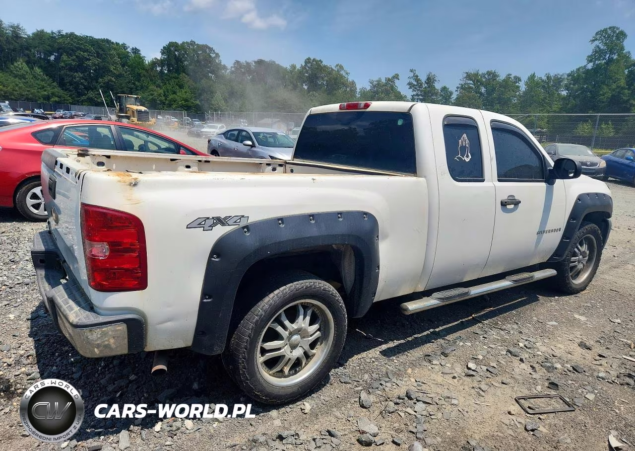 2009 Chevrolet Silverado K1500 VIN:1GCEK19C99Z160230 - 3