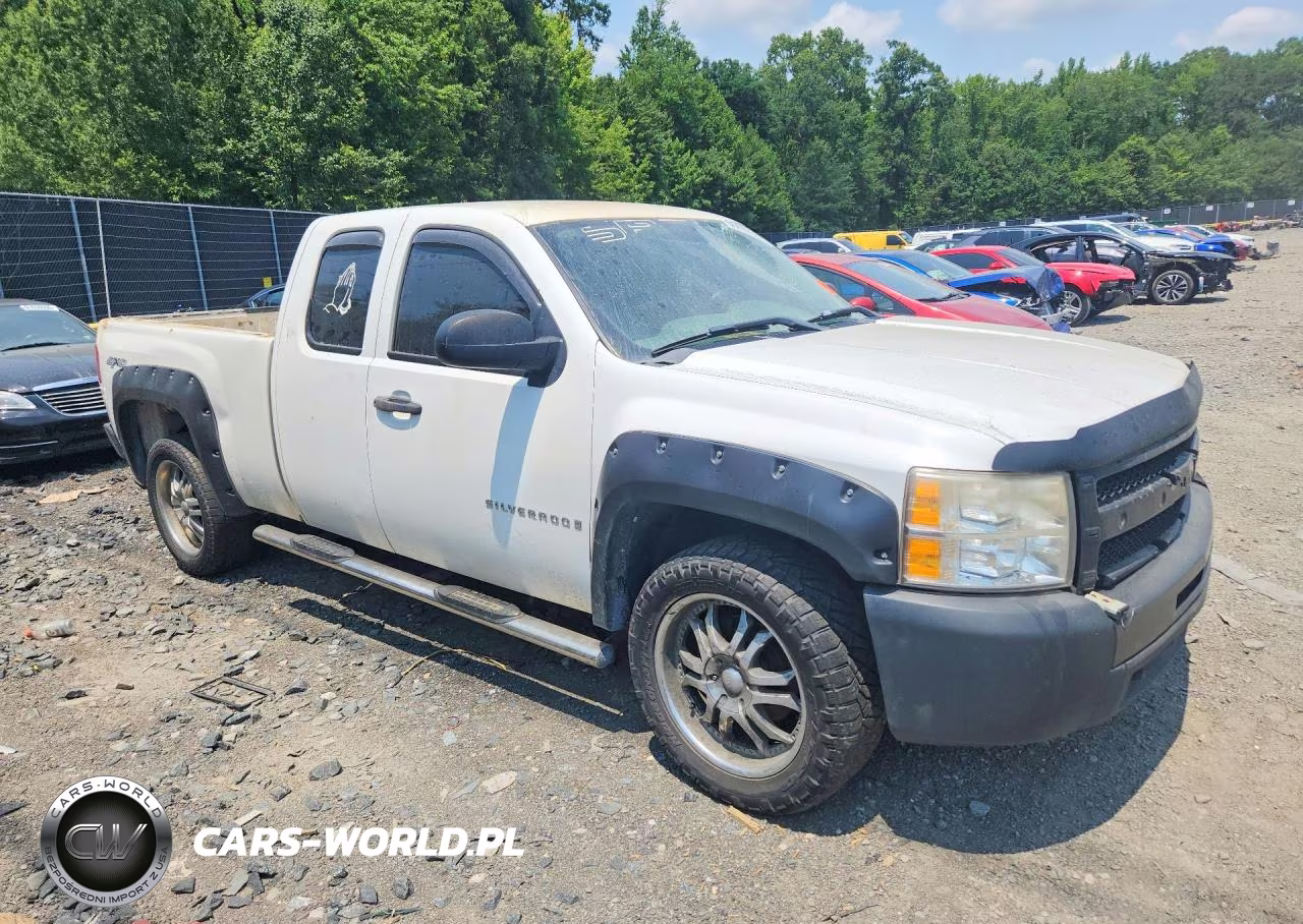 2009 Chevrolet Silverado K1500 VIN:1GCEK19C99Z160230 - 4