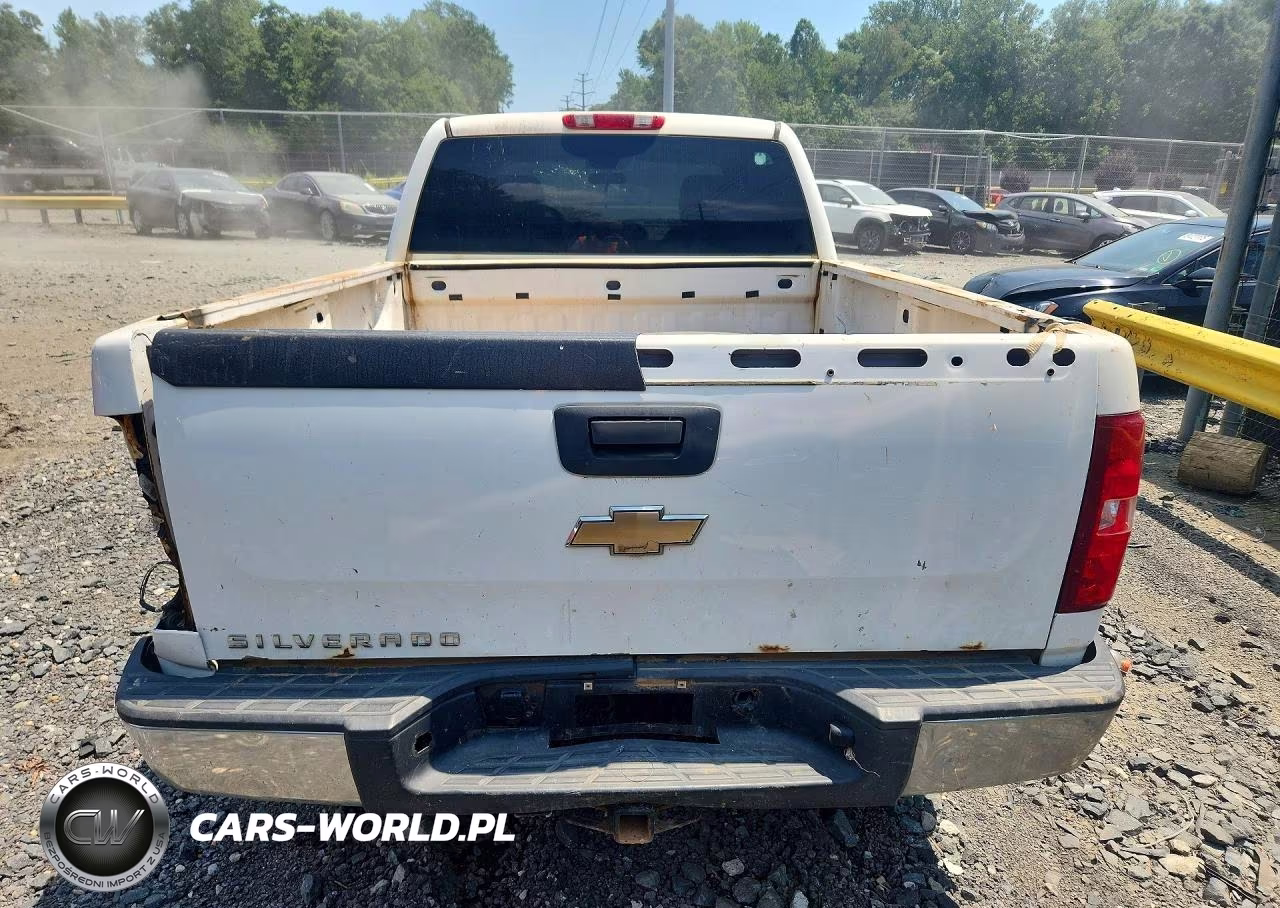 2009 Chevrolet Silverado K1500 VIN:1GCEK19C99Z160230 - 6