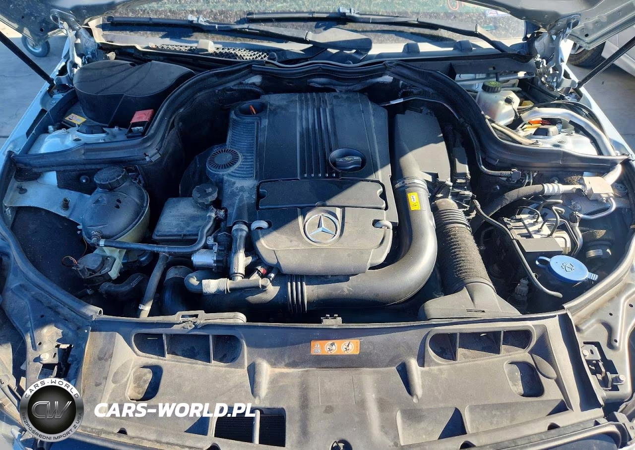 MERCEDES-BENZ C 250 VIN:WDDGJ4HB9DG030562 - 11