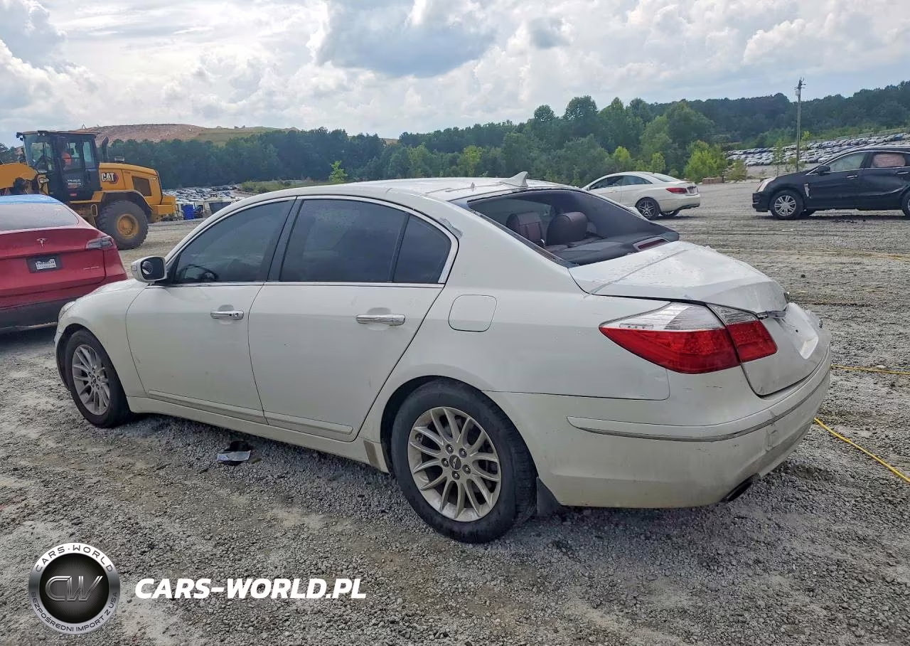 2010 Hyundai Genesis 3.8L VIN:KMHGC4DE8AU086862 - 2