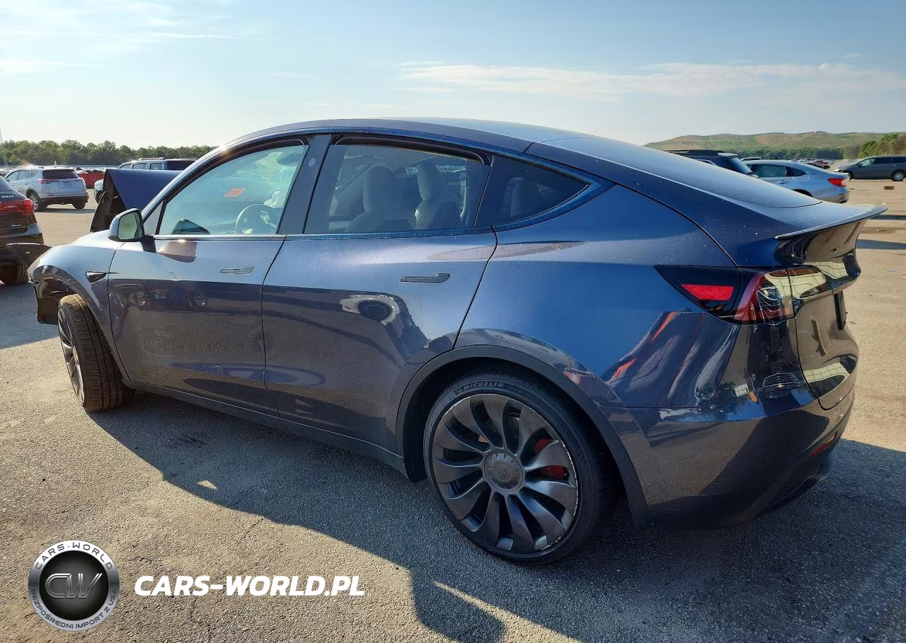 2023 Tesla Model Y VIN:7SAYGDEF2PF968117 - 2