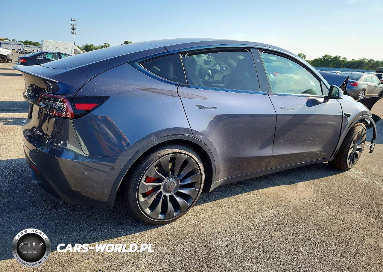 2023 Tesla Model Y VIN:7SAYGDEF2PF968117 - 3