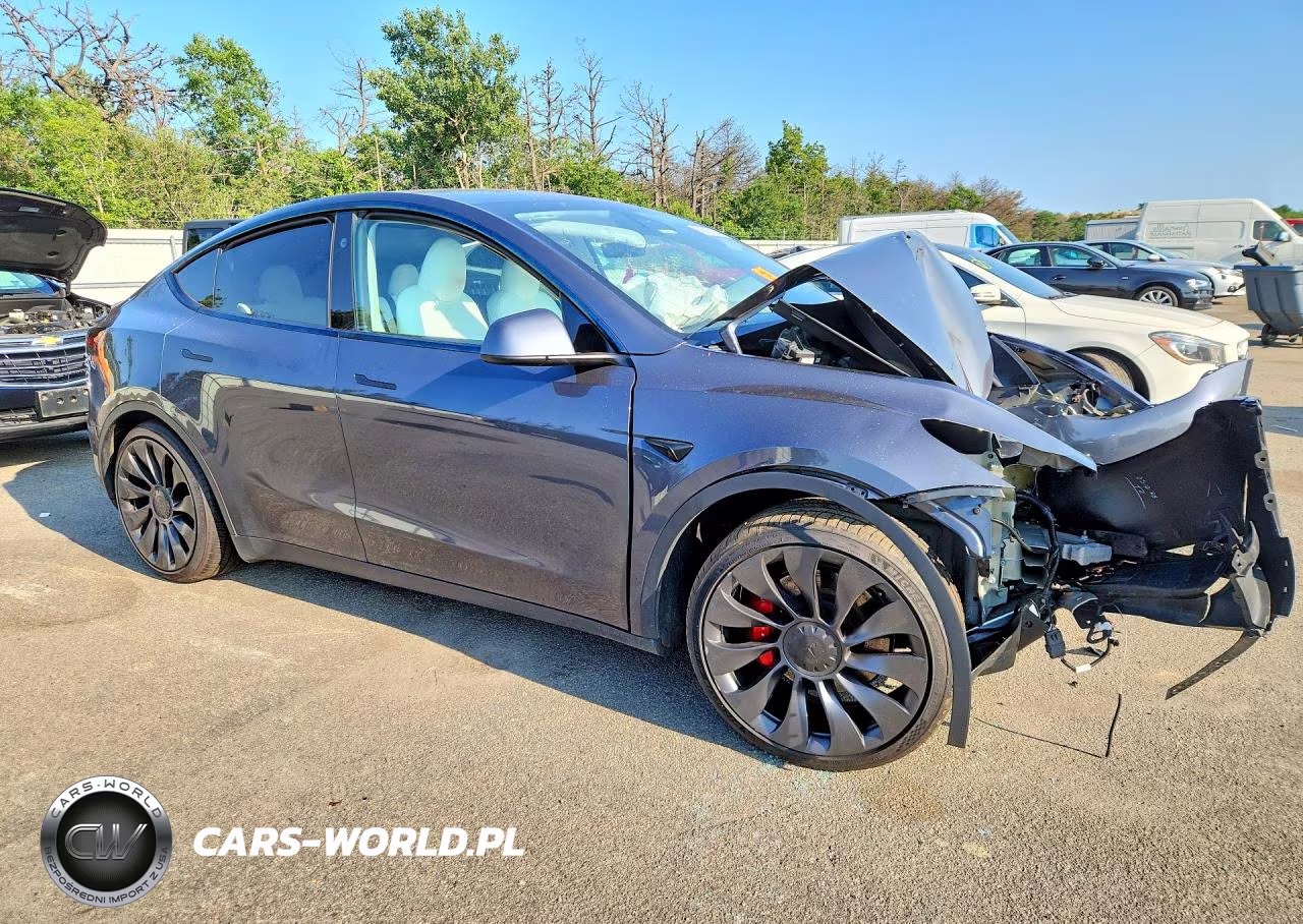 2023 Tesla Model Y VIN:7SAYGDEF2PF968117 - 4