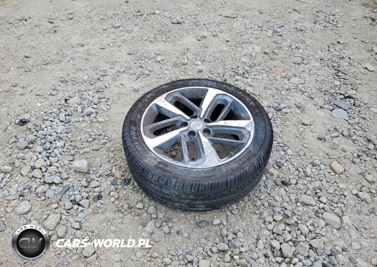 2021 Hyundai Kona Ultimate VIN:KM8K53A59MU644547 - 12