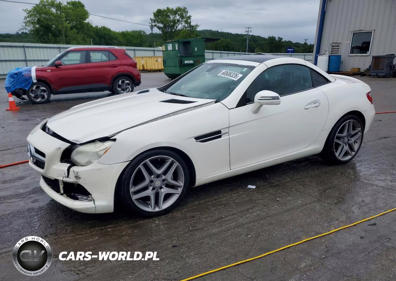 2015 Mercedes-Benz Slk 250 VIN:WDDPK4HA7FF101142 - 1