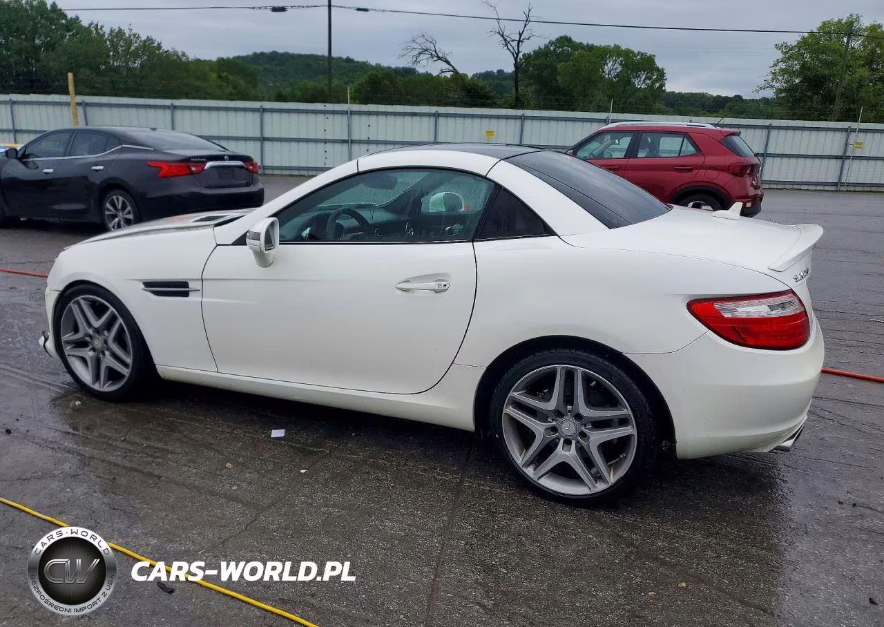 2015 Mercedes-Benz Slk 250 VIN:WDDPK4HA7FF101142 - 2