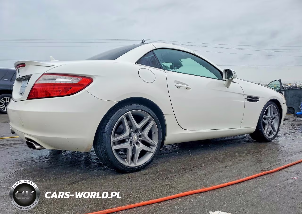 2015 Mercedes-Benz Slk 250 VIN:WDDPK4HA7FF101142 - 3