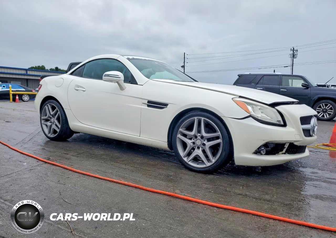 2015 Mercedes-Benz Slk 250 VIN:WDDPK4HA7FF101142 - 4
