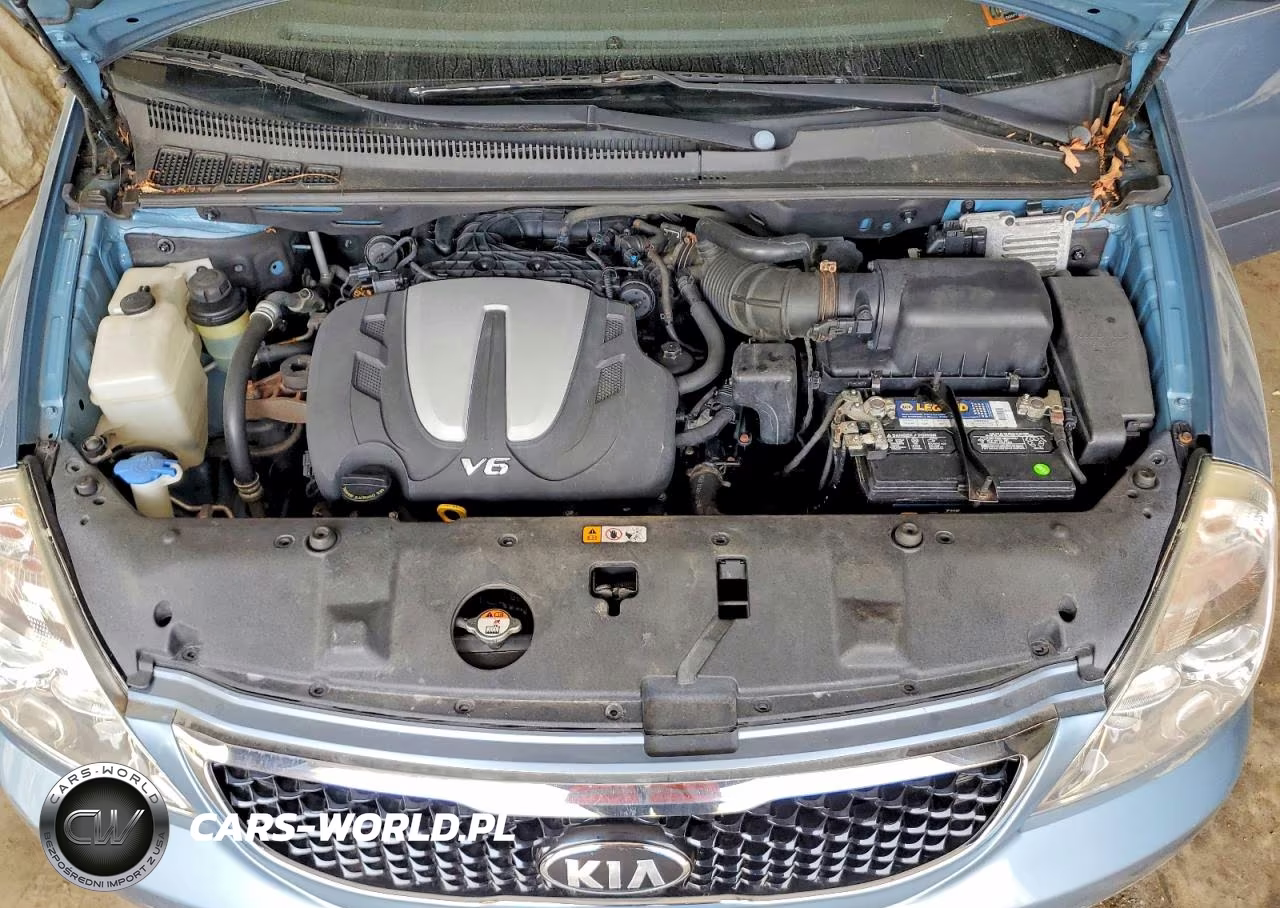 2014 Kia Sedona Lx VIN:KNDMG4C76E6538980 - 12