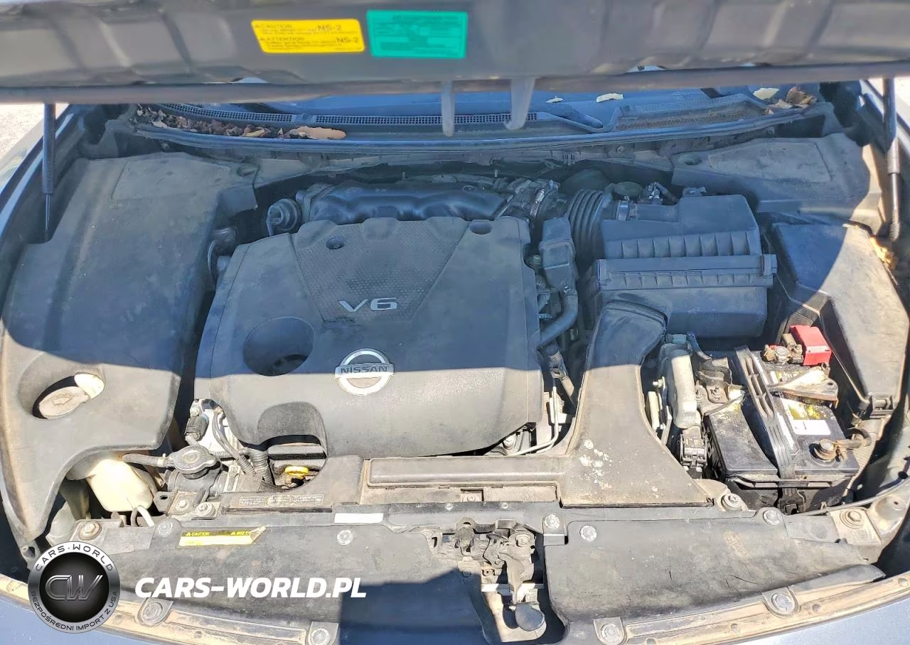 2009 Nissan Maxima S-Sv VIN:1N4AA51E09C814210 - 11
