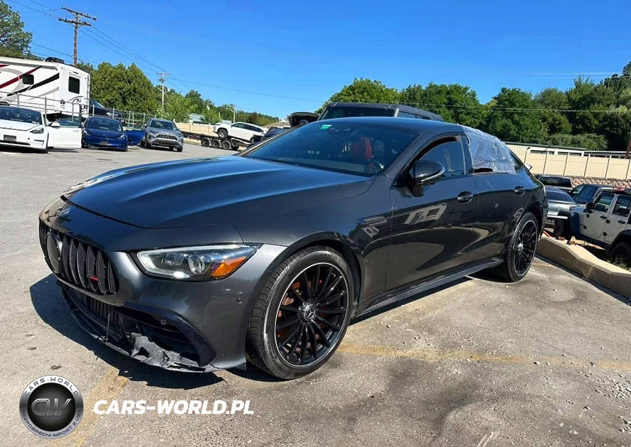 2019 Mercedes-Benz Amg Gt 53