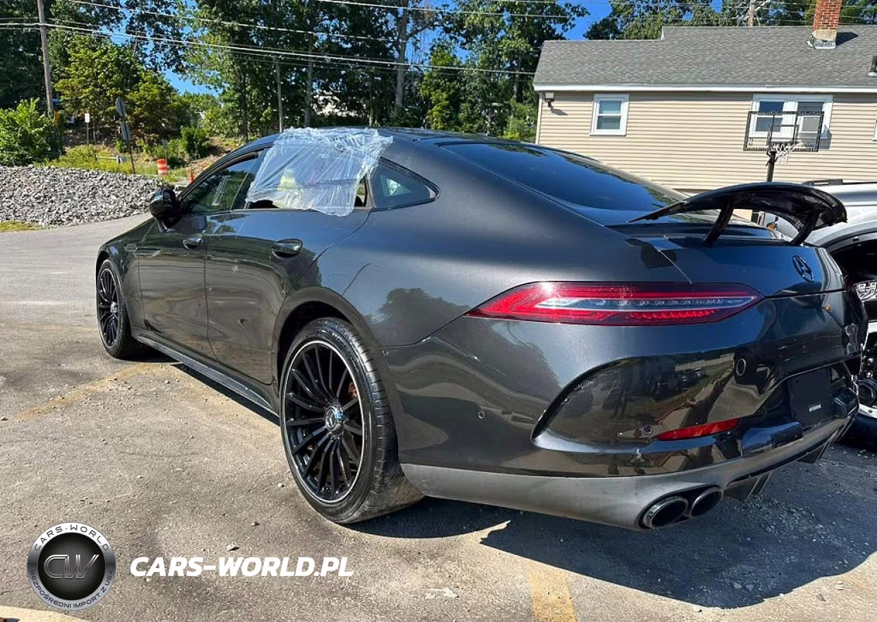 2019 Mercedes-Benz Amg Gt 53 VIN:WDD7X6BBXKA009769 - 2