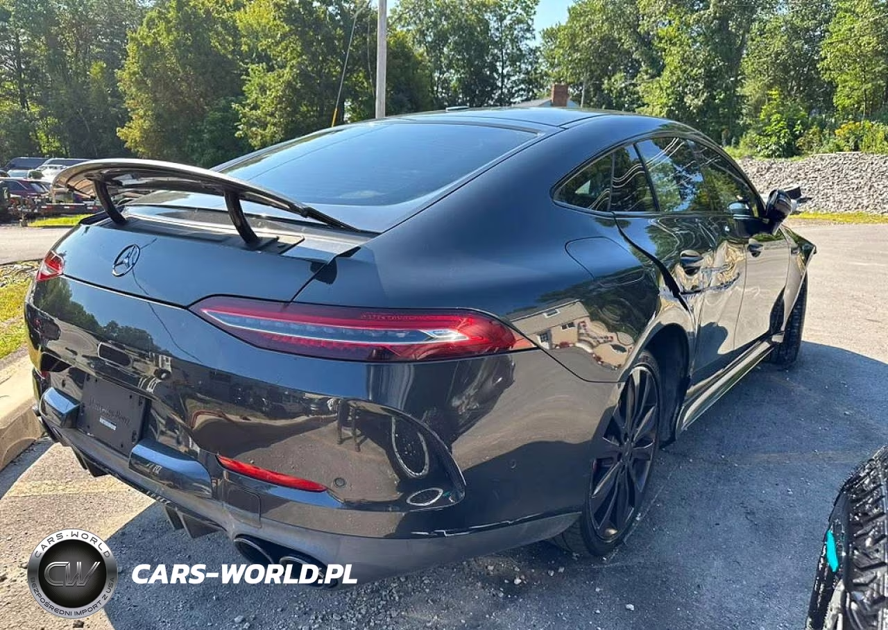 2019 Mercedes-Benz Amg Gt 53 VIN:WDD7X6BBXKA009769 - 3