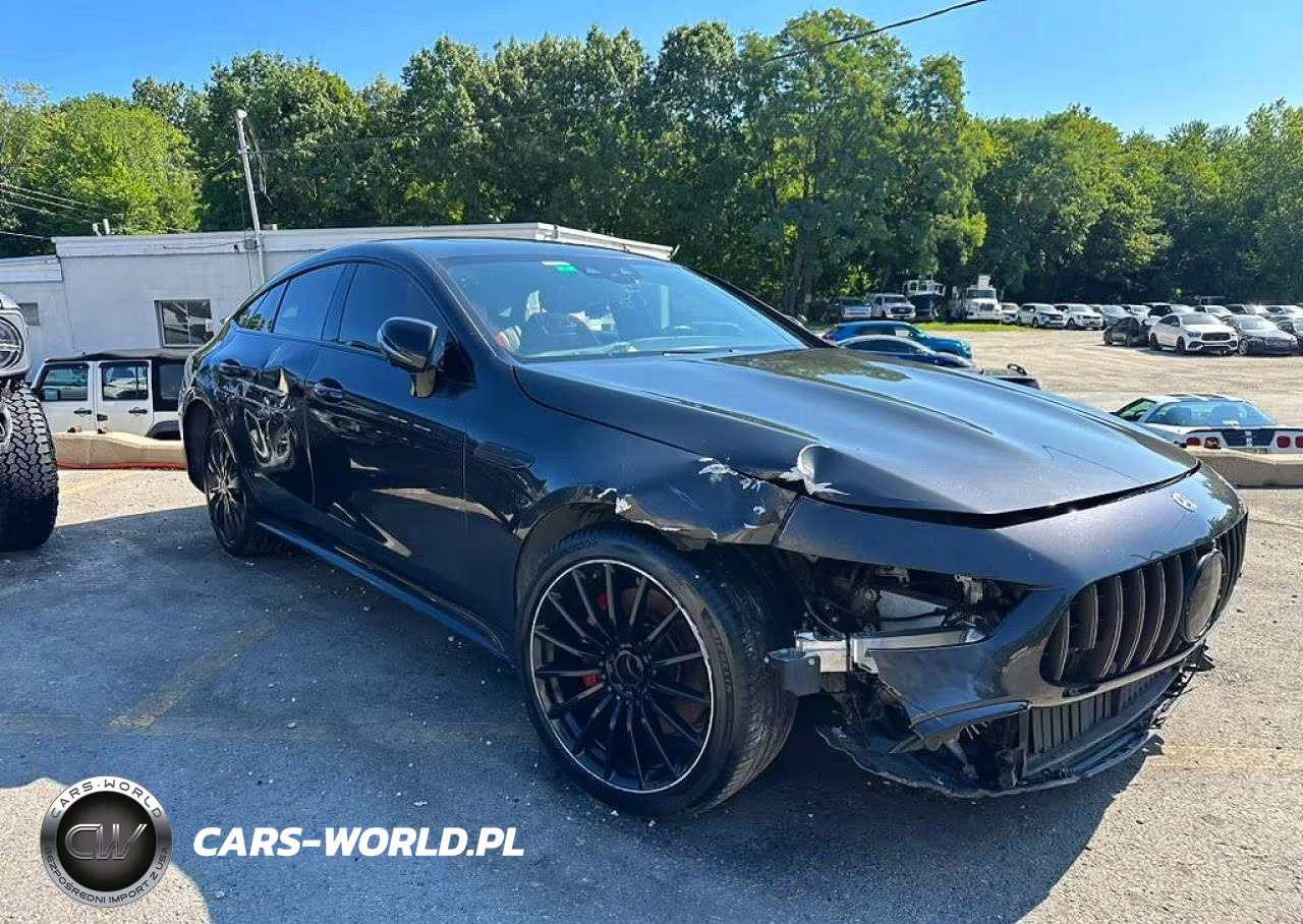 2019 Mercedes-Benz Amg Gt 53 VIN:WDD7X6BBXKA009769 - 4