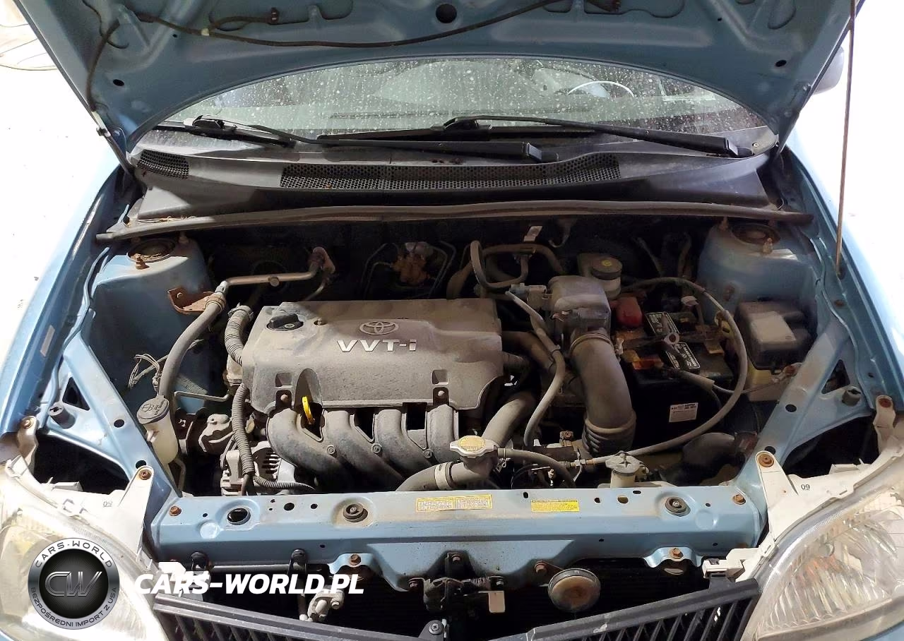 2002 Toyota Echo Base VIN:JTDAT123220234894 - 11