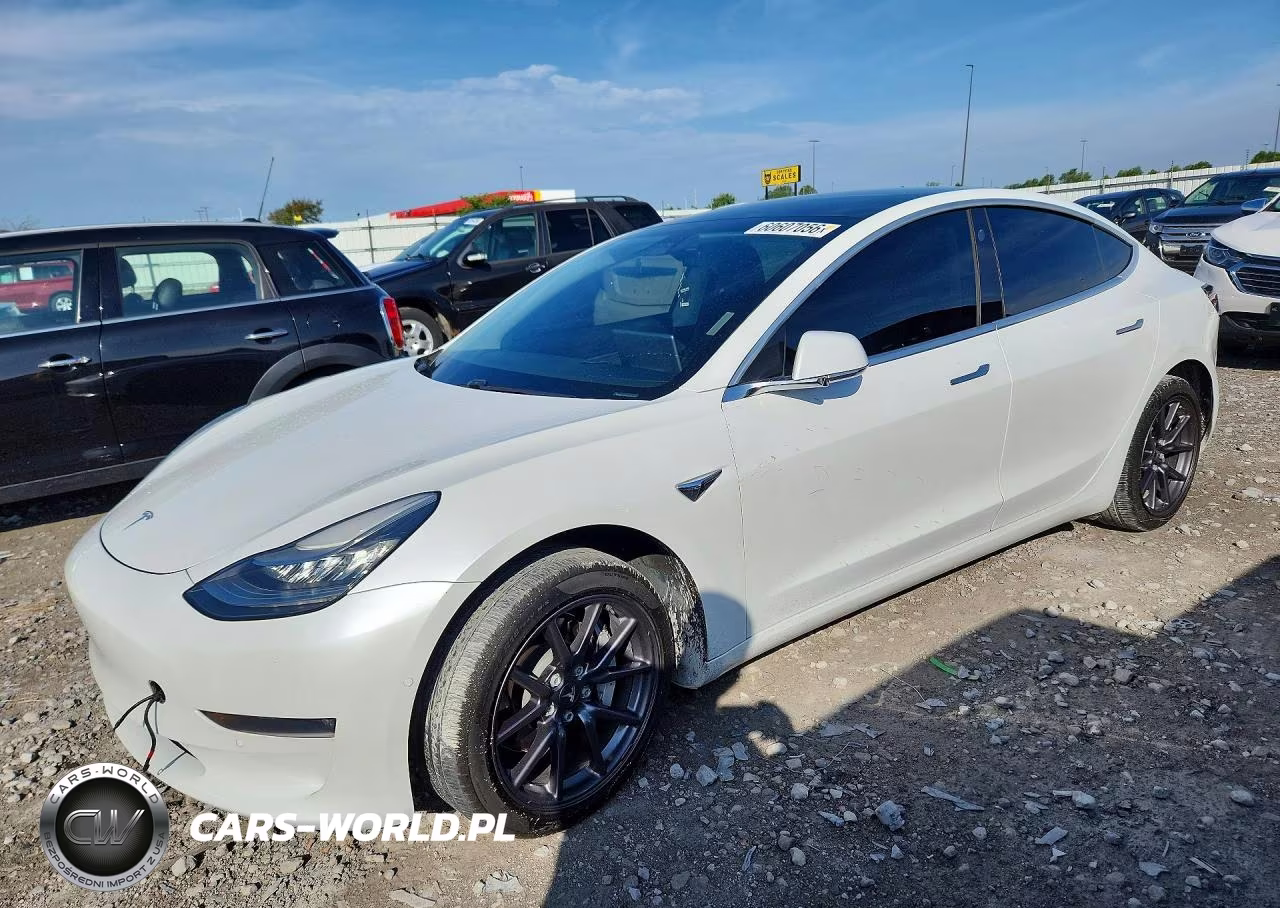 2019 Tesla Model 3